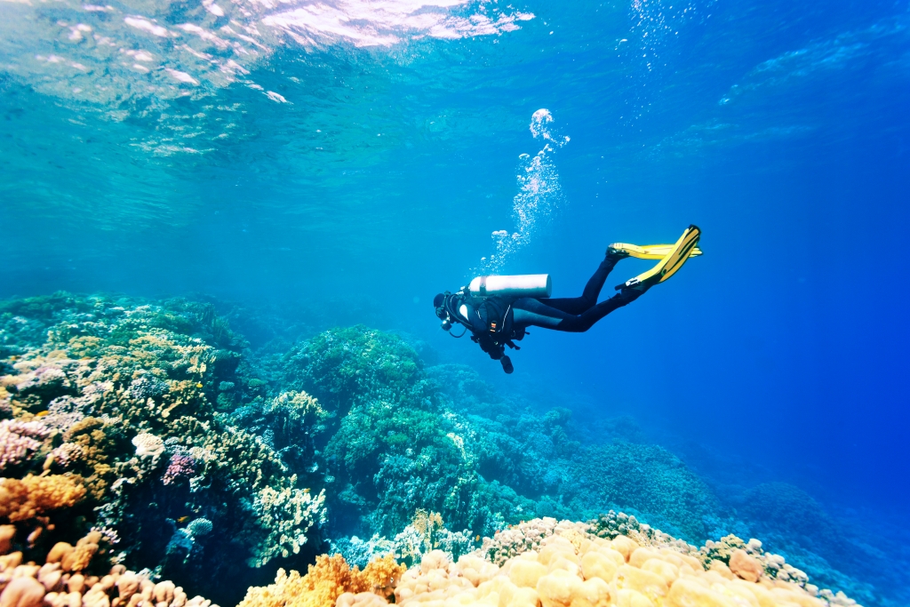 Faire De La Plongée Sous Marine à Lile Maurice Avec Sunset Diving 